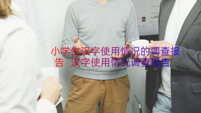 小学生汉字使用情况的调查报告 汉字使用情况调查报告(实用8篇)