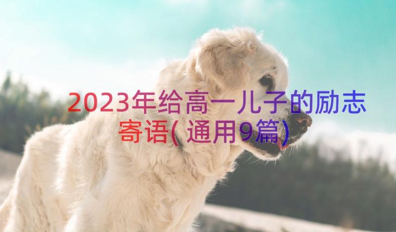 2023年给高一儿子的励志寄语(通用9篇)