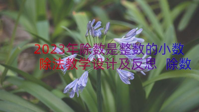 2023年除数是整数的小数除法教学设计及反思 除数是整数的小数除法教学反思(汇总16篇)