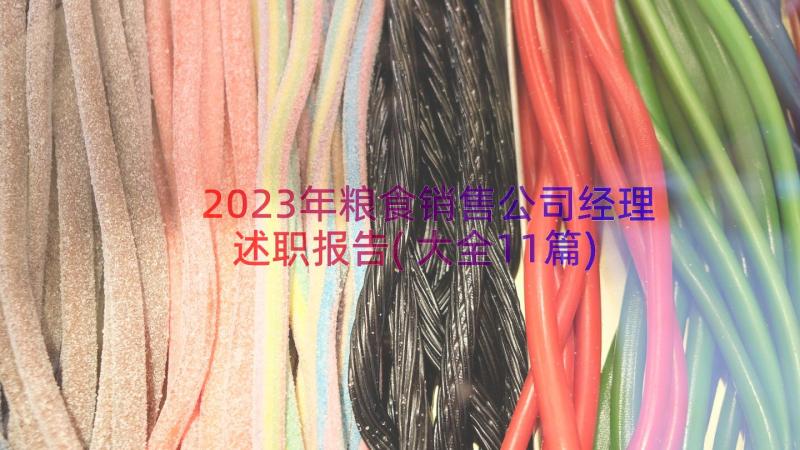 2023年粮食销售公司经理述职报告(大全11篇)