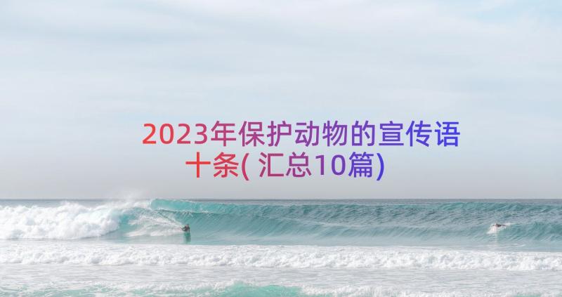 2023年保护动物的宣传语十条(汇总10篇)