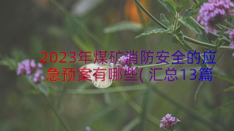 2023年煤矿消防安全的应急预案有哪些(汇总13篇)