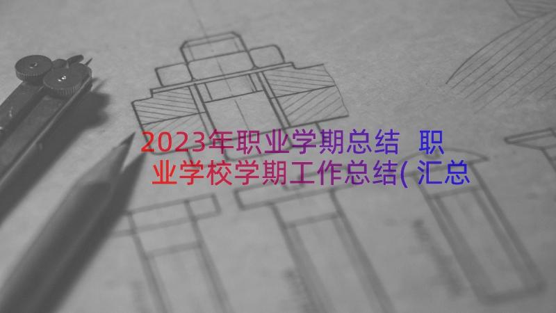 2023年职业学期总结 职业学校学期工作总结(汇总8篇)