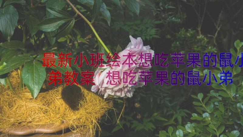 最新小班绘本想吃苹果的鼠小弟教案 想吃苹果的鼠小弟幼儿园教案(模板19篇)