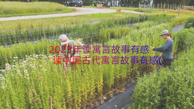 2023年读寓言故事有感 读中国古代寓言故事有感(大全8篇)