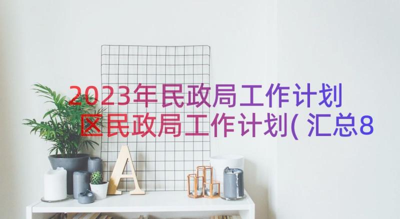 2023年民政局工作计划 区民政局工作计划(汇总8篇)