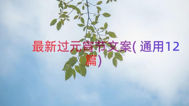 最新过元宵节文案(通用12篇)