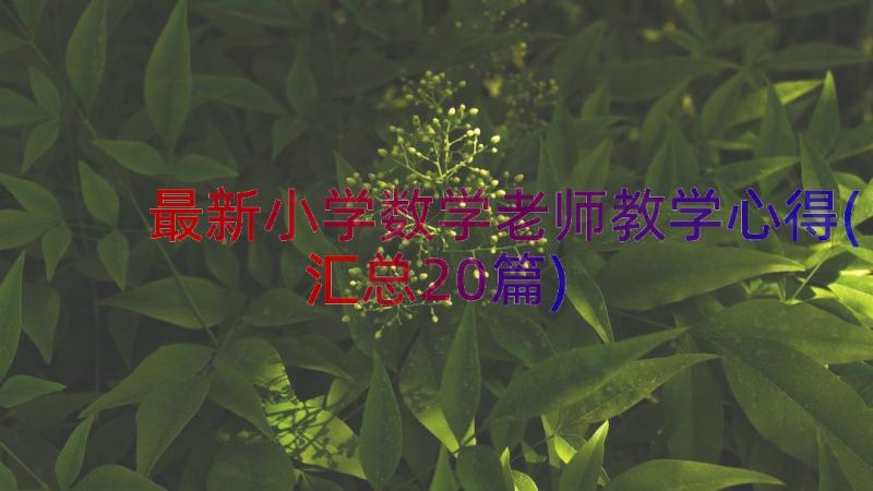 最新小学数学老师教学心得(汇总20篇)