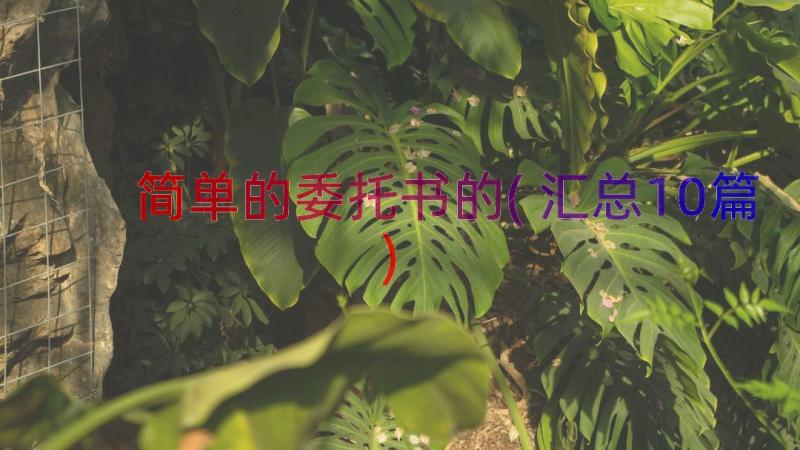 简单的委托书的(汇总10篇)