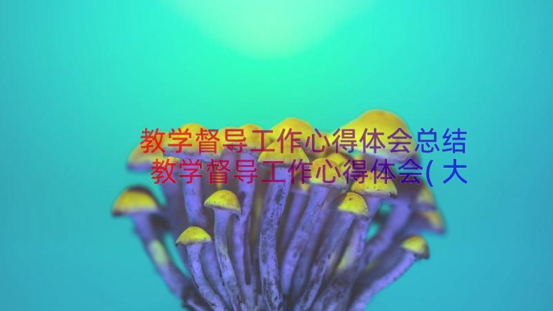 教学督导工作心得体会总结 教学督导工作心得体会(大全8篇)