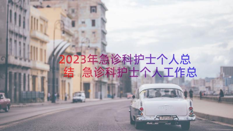 2023年急诊科护士个人总结 急诊科护士个人工作总结(优质16篇)