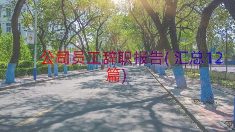 公司员工辞职报告(汇总12篇)