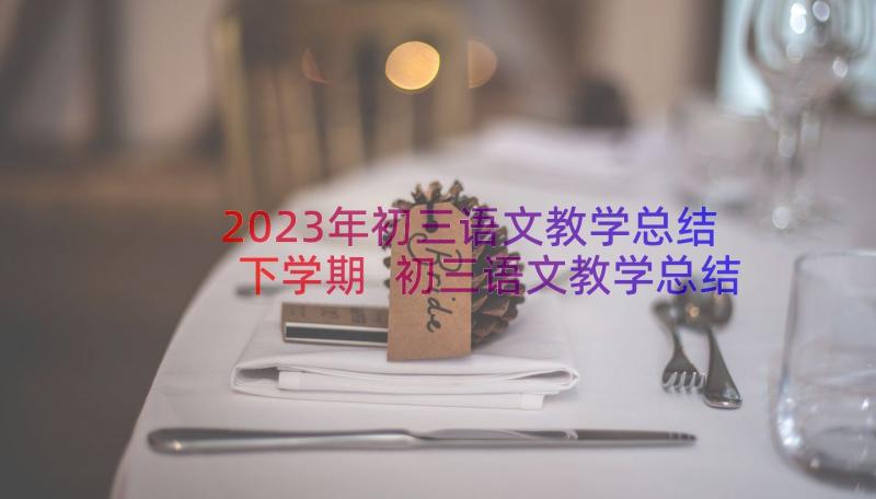 2023年初三语文教学总结下学期 初三语文教学总结(实用19篇)