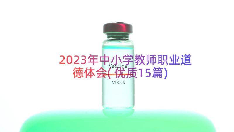 2023年中小学教师职业道德体会(优质15篇)