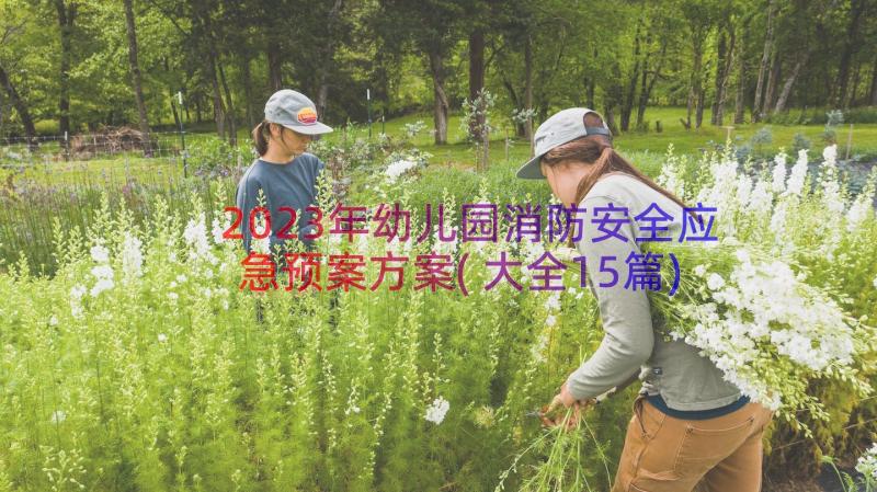 2023年幼儿园消防安全应急预案方案(大全15篇)