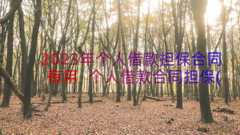 2023年个人借款担保合同有用 个人借款合同担保(模板8篇)