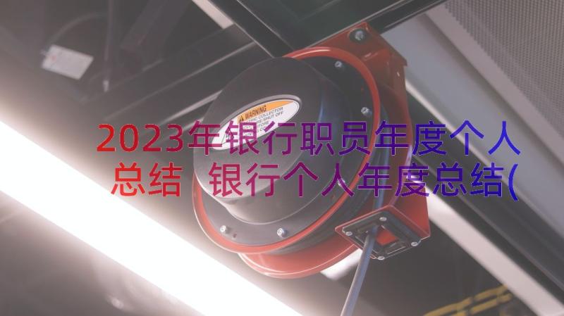 2023年银行职员年度个人总结 银行个人年度总结(通用19篇)