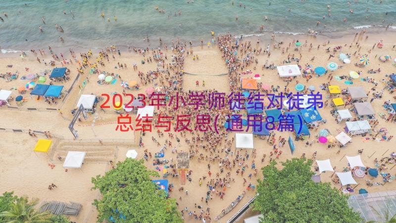 2023年小学师徒结对徒弟总结与反思(通用8篇)