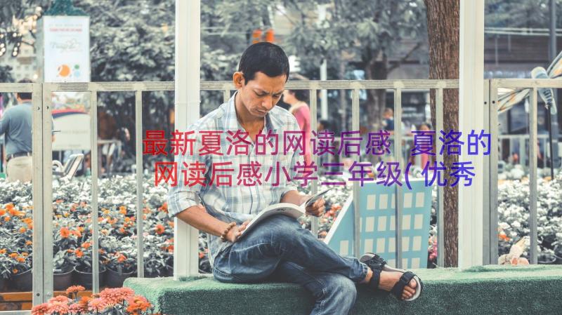 最新夏洛的网读后感 夏洛的网读后感小学三年级(优秀10篇)