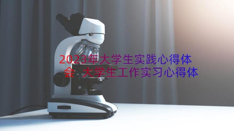 2023年大学生实践心得体会 大学生工作实习心得体会(模板14篇)