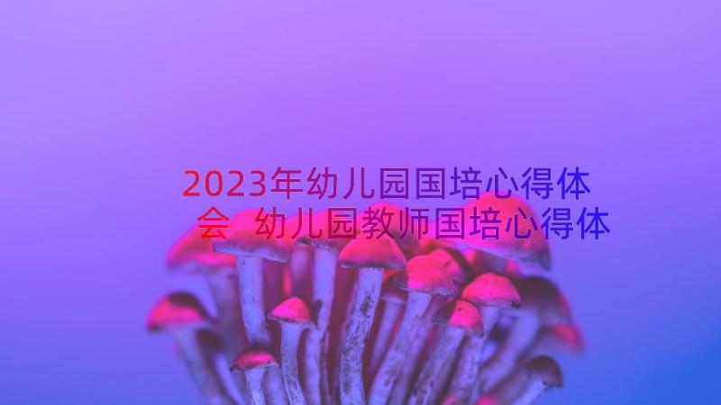 2023年幼儿园国培心得体会 幼儿园教师国培心得体会(实用9篇)