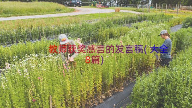 教师获奖感言的发言稿(大全8篇)