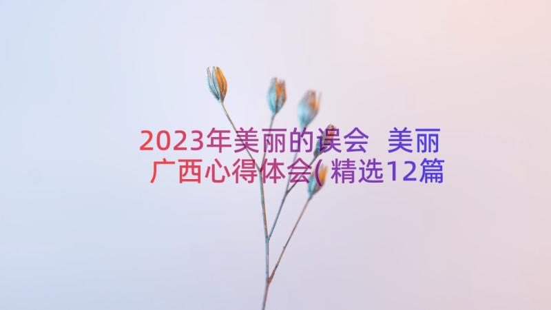 2023年美丽的误会 美丽广西心得体会(精选12篇)