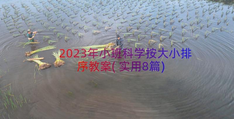 2023年小班科学按大小排序教案(实用8篇)