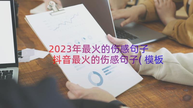 2023年最火的伤感句子 抖音最火的伤感句子(模板9篇)