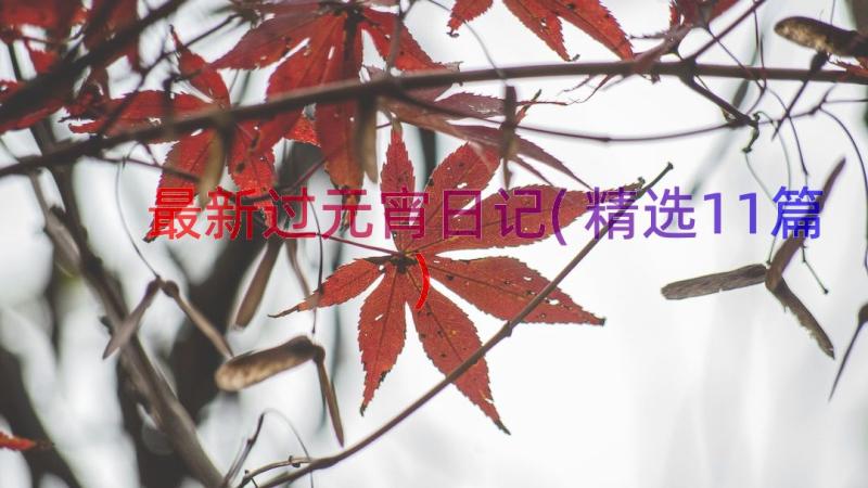 最新过元宵日记(精选11篇)