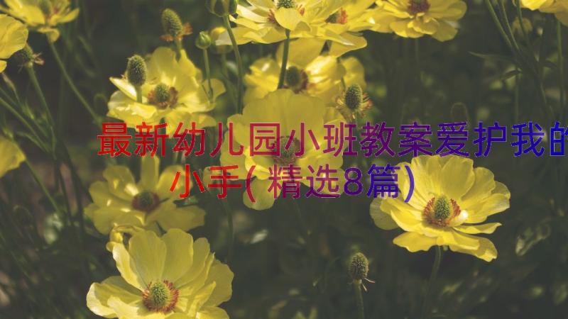 最新幼儿园小班教案爱护我的小手(精选8篇)