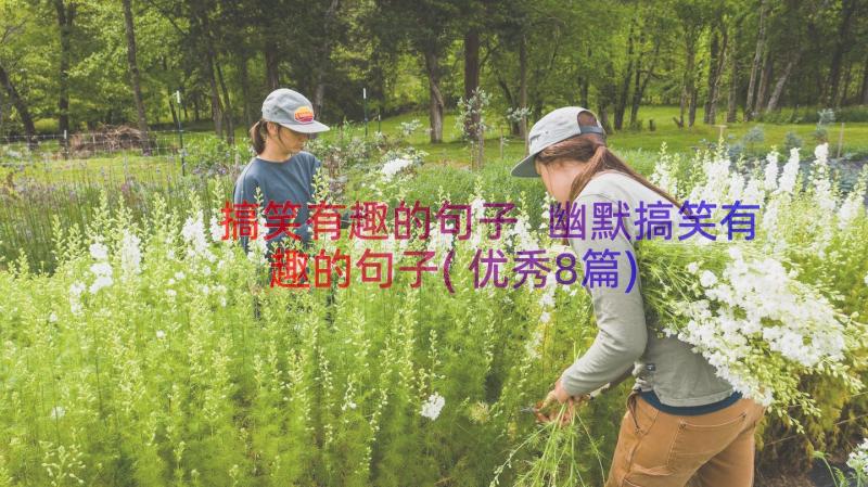 搞笑有趣的句子 幽默搞笑有趣的句子(优秀8篇)