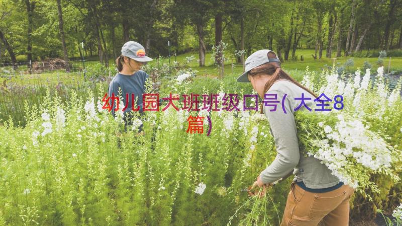 幼儿园大班班级口号(大全8篇)