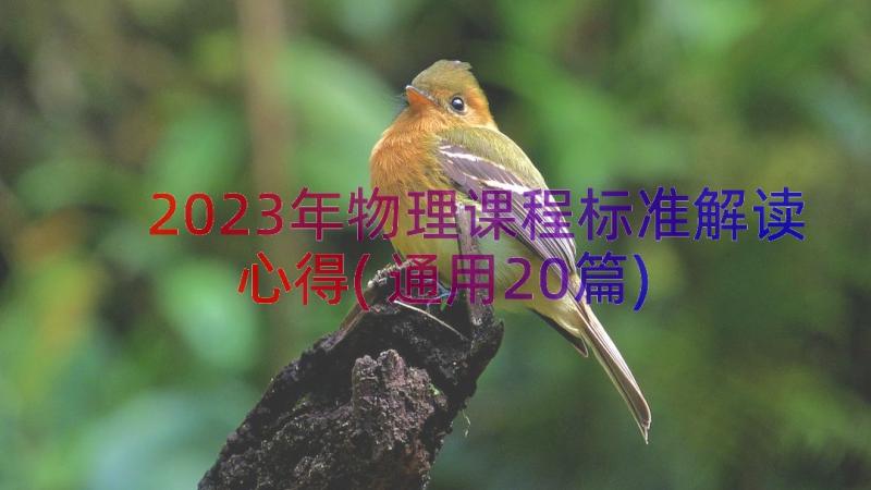 2023年物理课程标准解读心得(通用20篇)