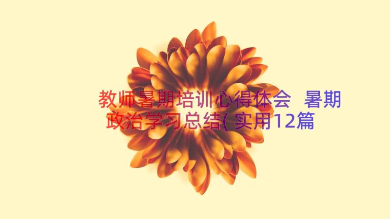 教师暑期培训心得体会 暑期政治学习总结(实用12篇)