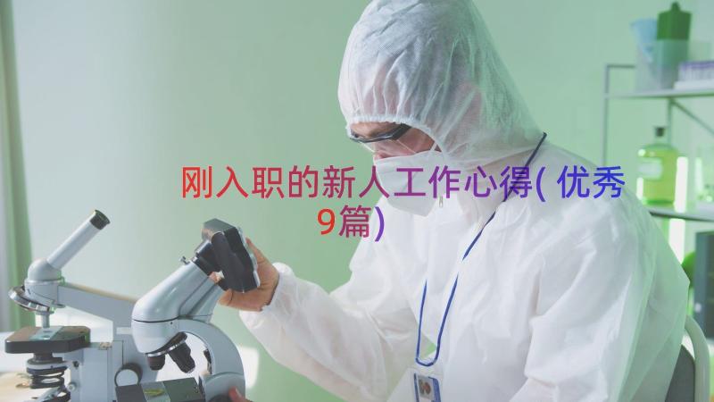 刚入职的新人工作心得(优秀9篇)