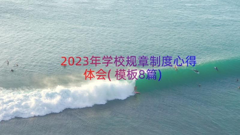 2023年学校规章制度心得体会(模板8篇)