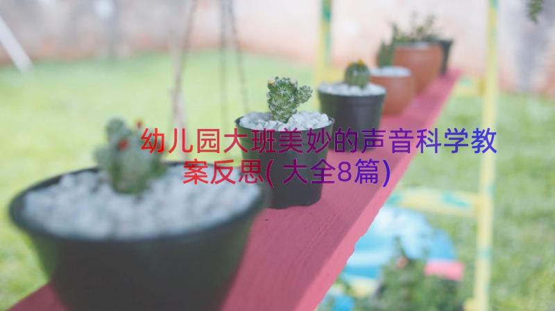 幼儿园大班美妙的声音科学教案反思(大全8篇)