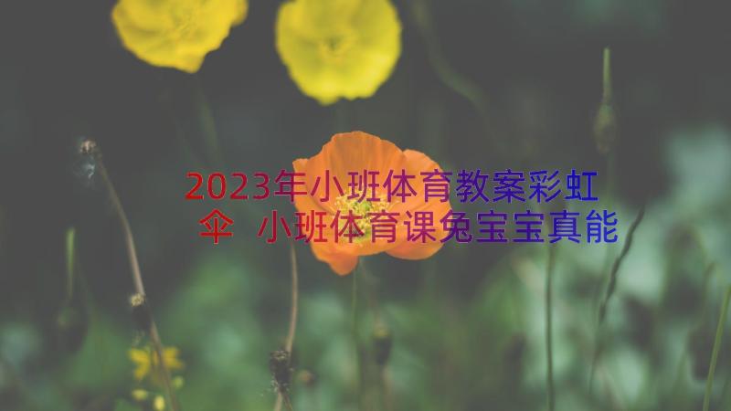 2023年小班体育教案彩虹伞 小班体育课兔宝宝真能干教案(大全6篇)