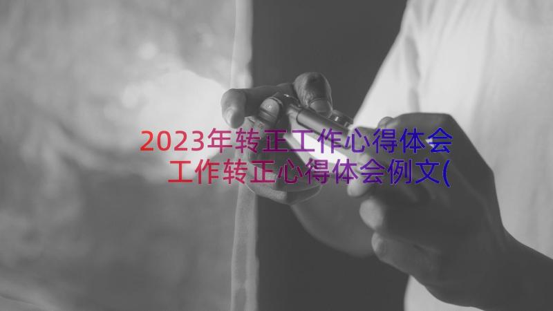 2023年转正工作心得体会 工作转正心得体会例文(实用13篇)