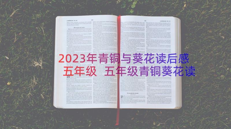 2023年青铜与葵花读后感五年级 五年级青铜葵花读后感(精选17篇)