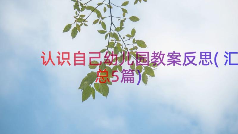 认识自己幼儿园教案反思(汇总5篇)