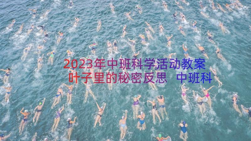 2023年中班科学活动教案叶子里的秘密反思 中班科学活动叶子的秘密教案(通用8篇)