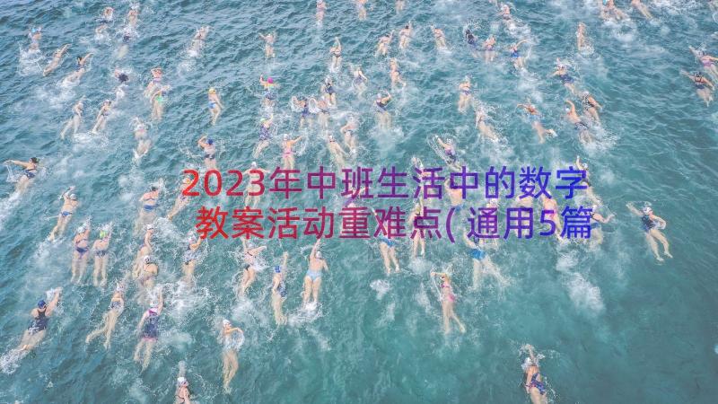 2023年中班生活中的数字教案活动重难点(通用5篇)