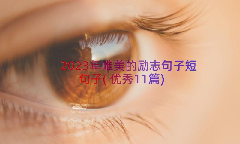 2023年唯美的励志句子短句子(优秀11篇)