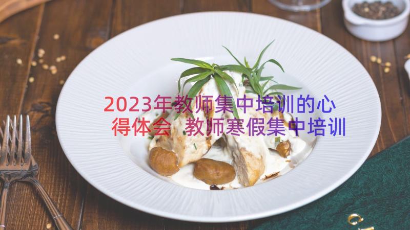 2023年教师集中培训的心得体会 教师寒假集中培训心得体会(模板11篇)