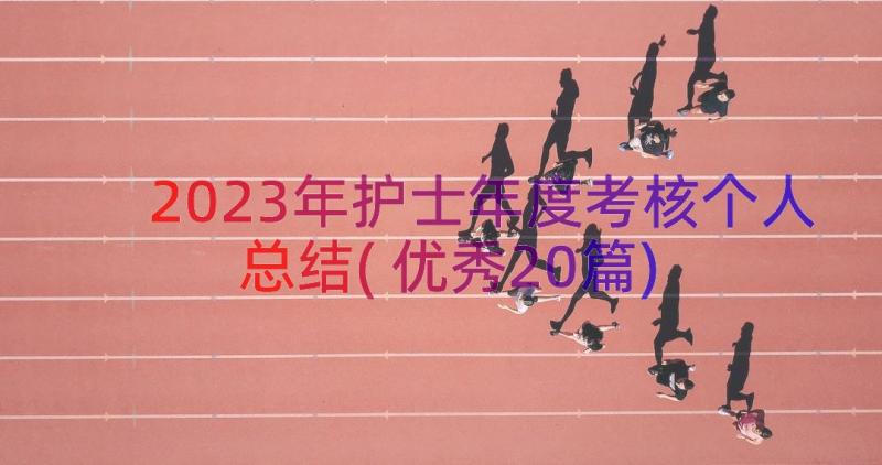 2023年护士年度考核个人总结(优秀20篇)