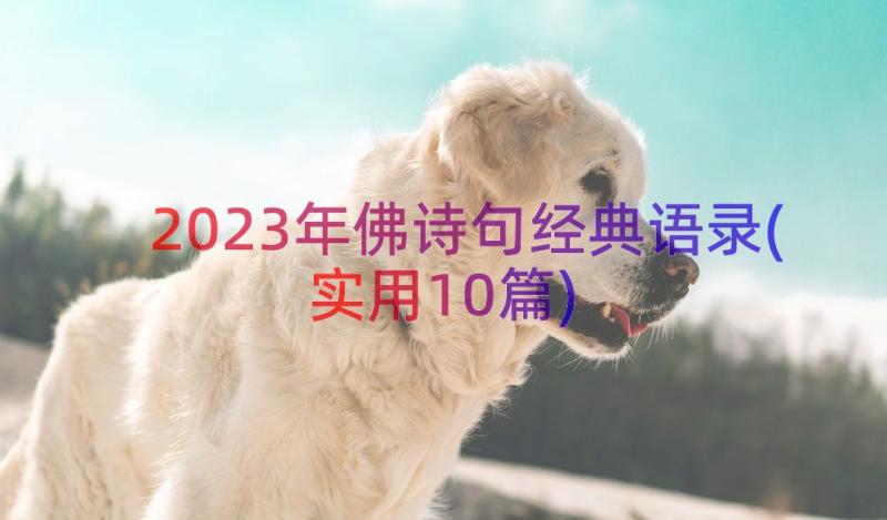 2023年佛诗句经典语录(实用10篇)