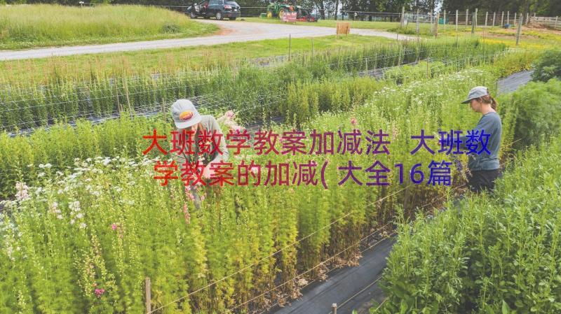 大班数学教案加减法 大班数学教案的加减(大全16篇)