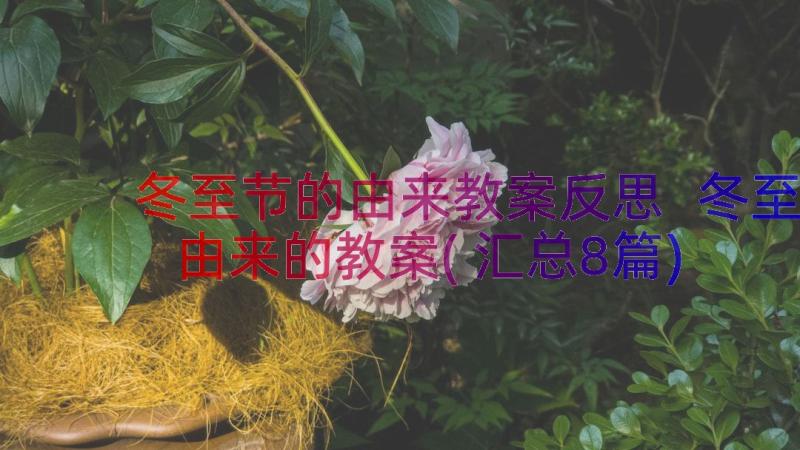 冬至节的由来教案反思 冬至由来的教案(汇总8篇)